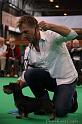 Crufts2011_2 1265